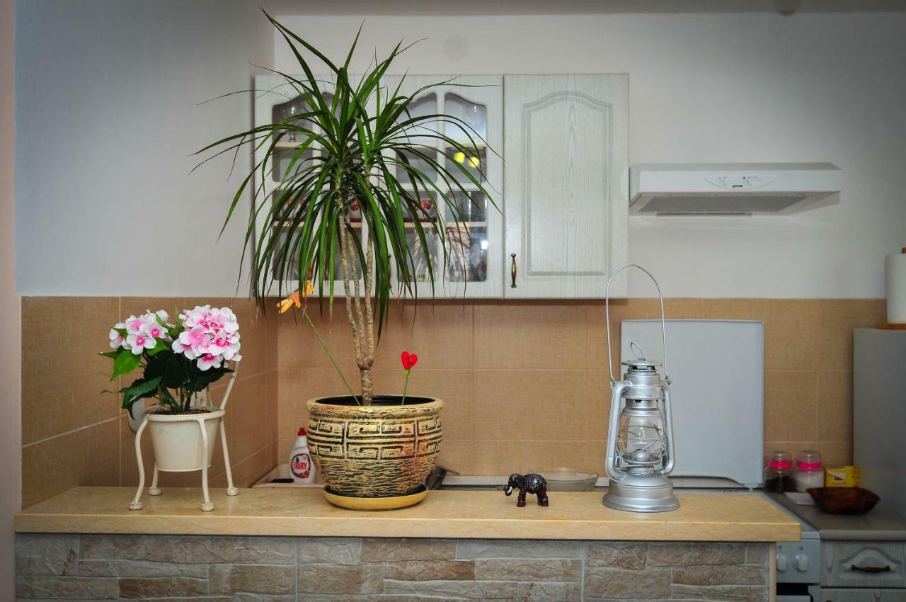 Apartment Elena Tivat Extérieur photo